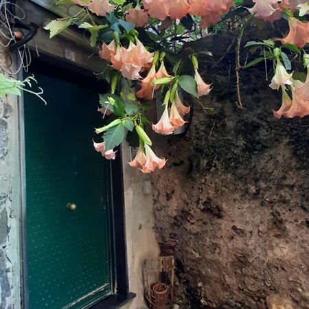 Giuggiolhouse Daire Cenova Dış mekan fotoğraf