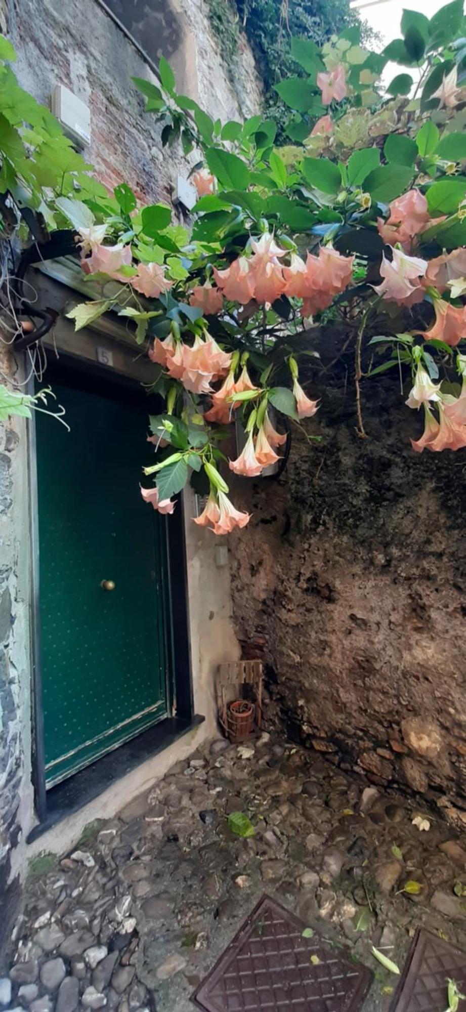 Giuggiolhouse Daire Cenova Dış mekan fotoğraf