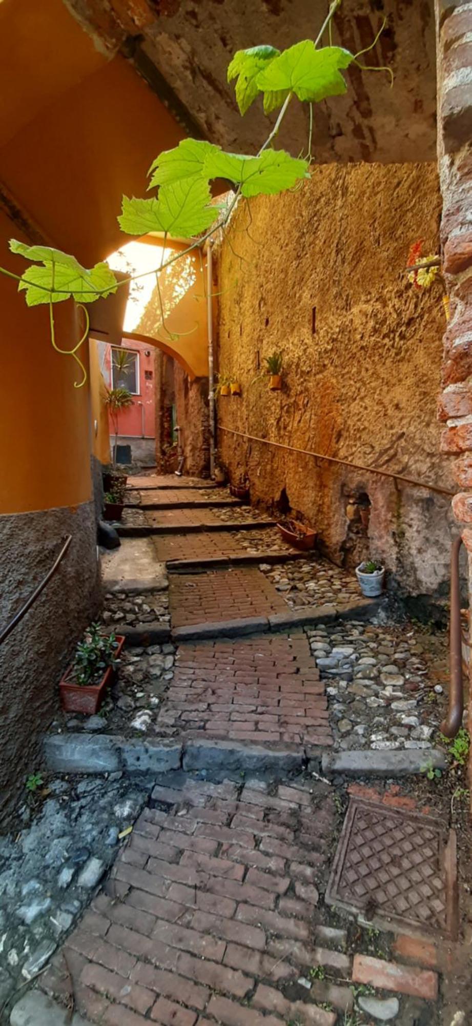 Giuggiolhouse Daire Cenova Dış mekan fotoğraf